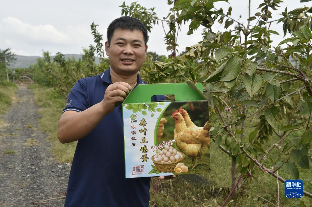 公司在线开户